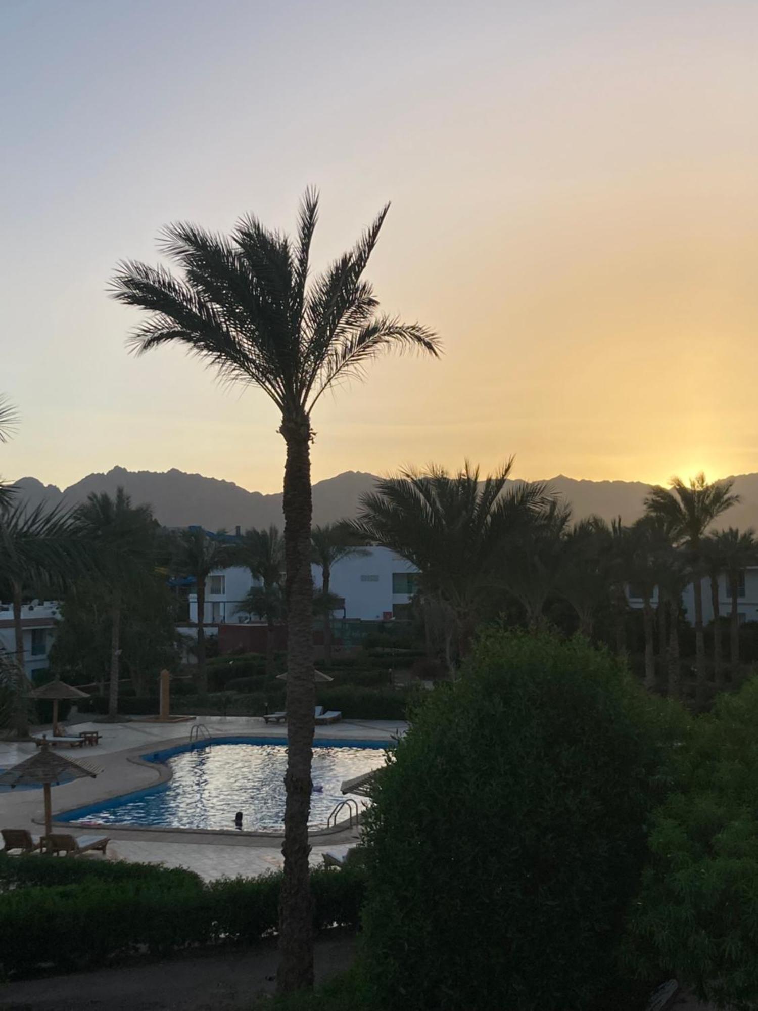 Unique Sunset *